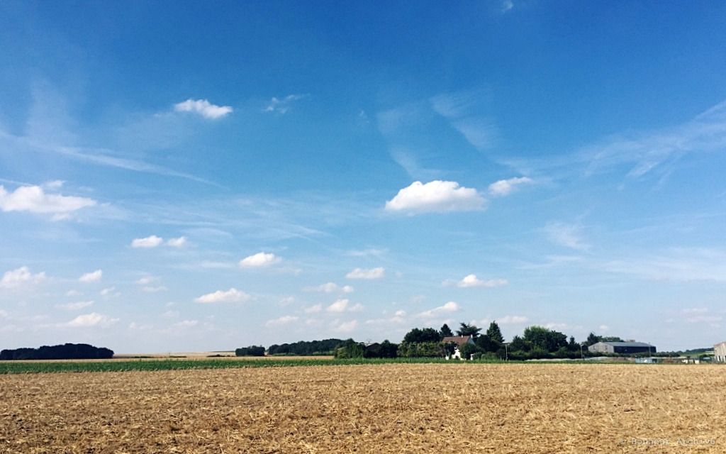 이미지 13.jpg