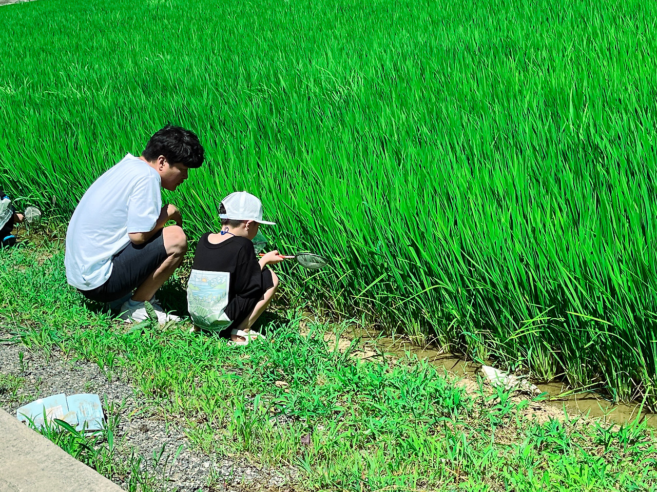 활용 배경사진 (2).jpg