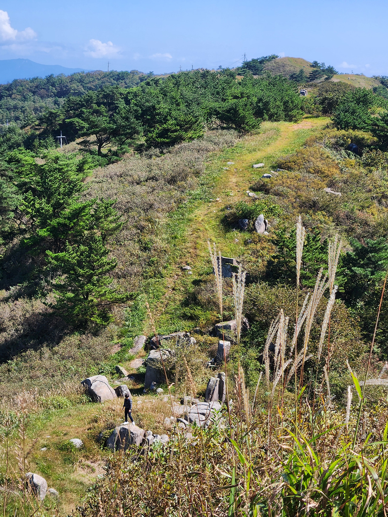 기타활용이미지 (2).jpg