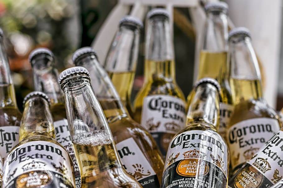 bottle-drink-alcoholic-beverage-beer.jpg