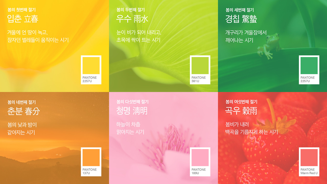 서브컬러 무드이미지.jpg