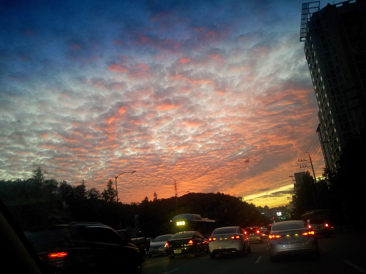 Camera_2011-09-20 18.43.41.jpg