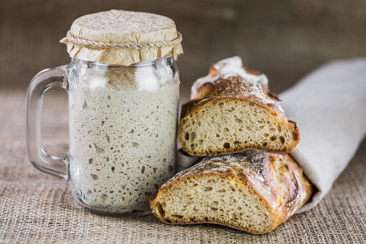 sourdough starter with bread.jpg