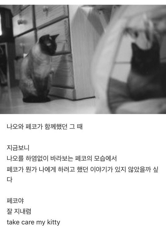 KakaoTalk_20190823_094438122.jpg