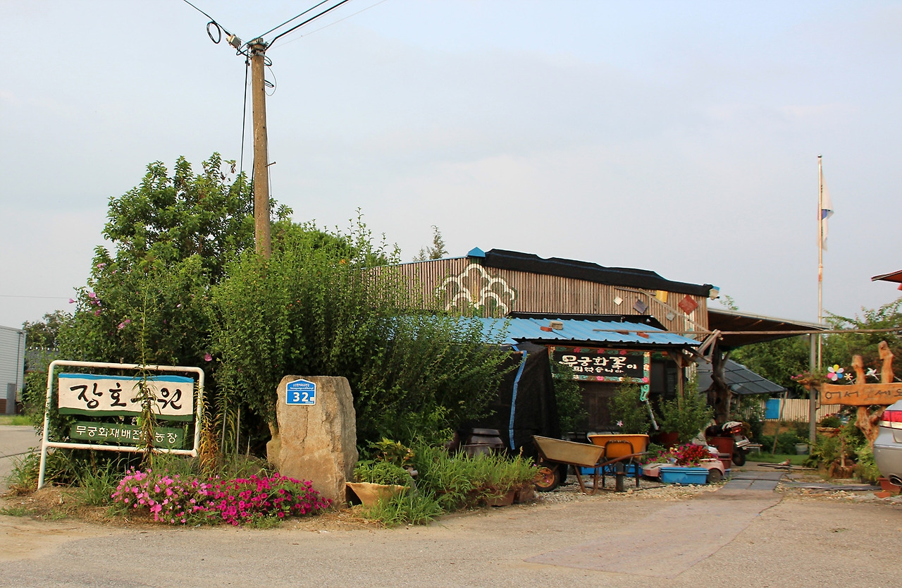 6-99 무궁화교육 학습장이 있는 광석면 장호농원.jpg