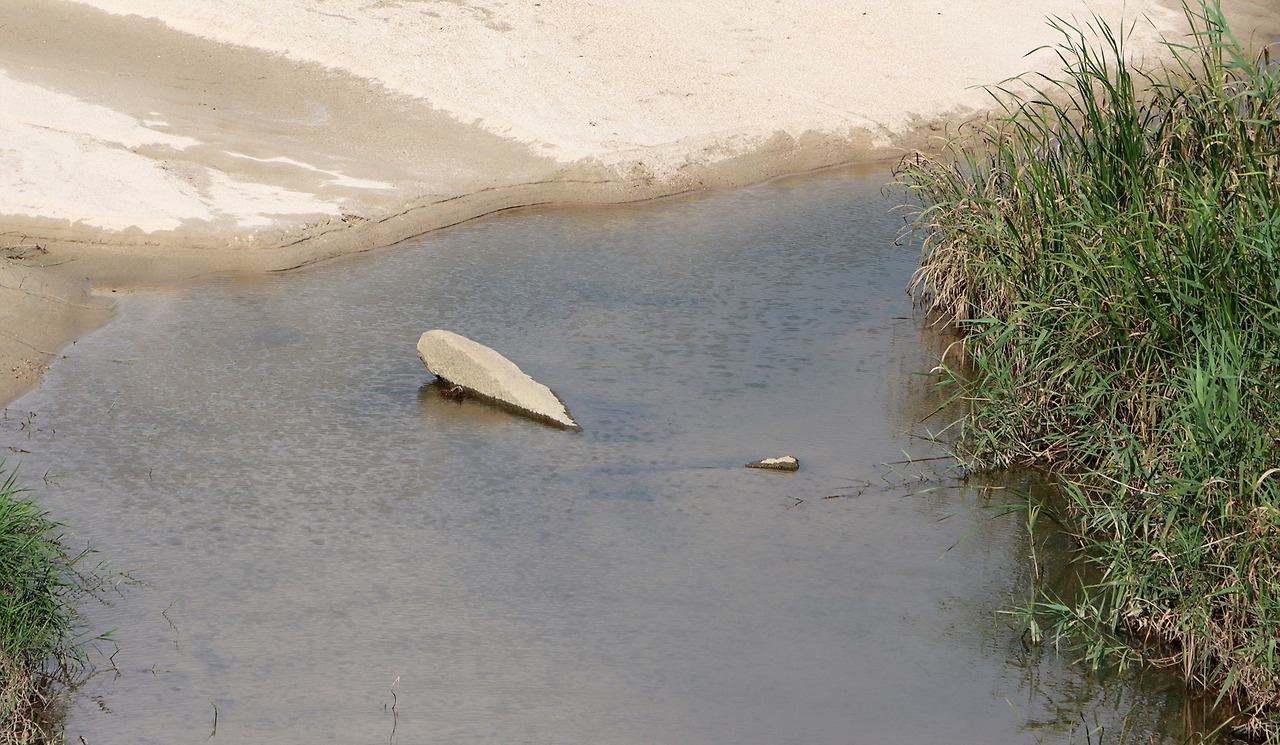 08-15(작은 사진).jpg