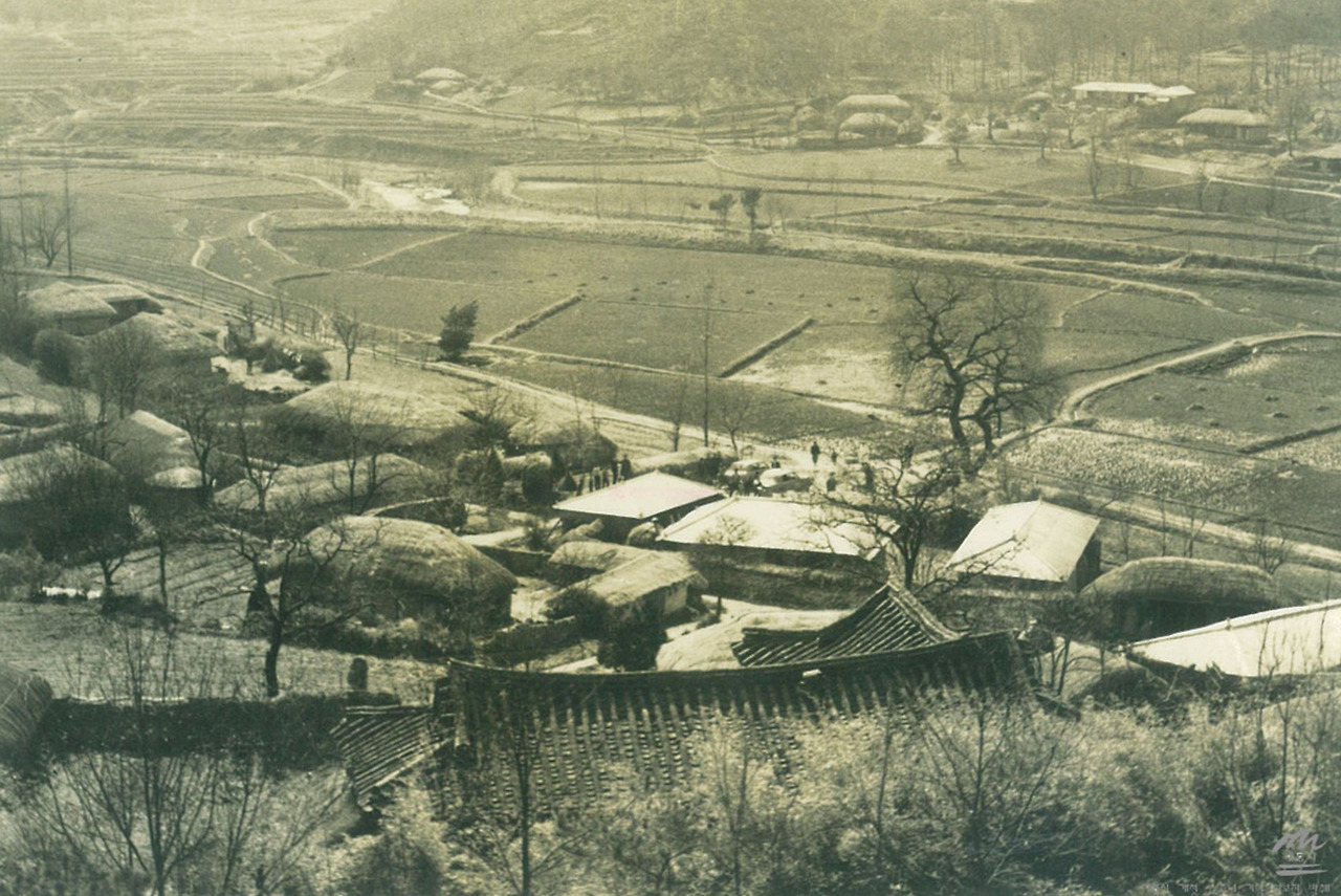 071-2-금암리 마을 전경.jpg