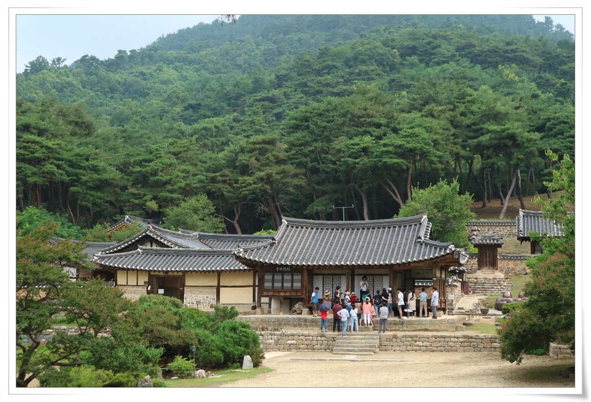 02-15 제일 큰 사진.jpg