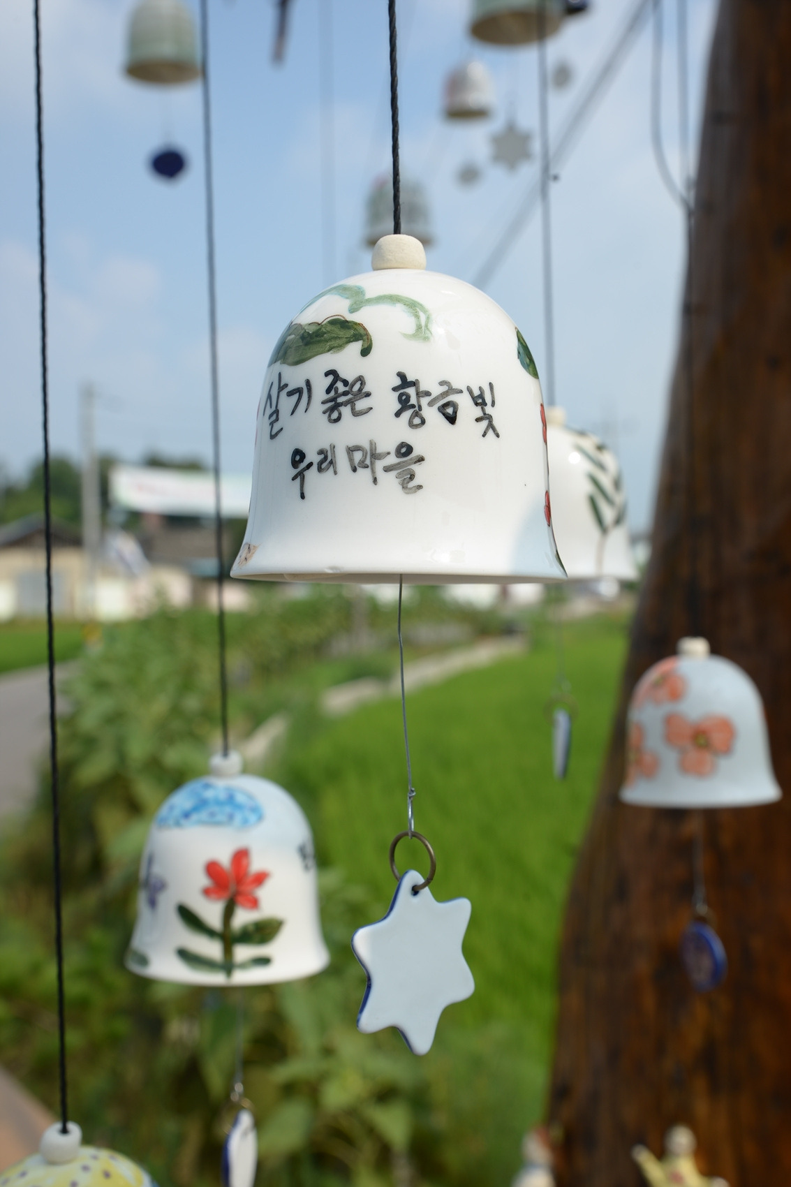 2015 콩밭열무축제 (2).jpg