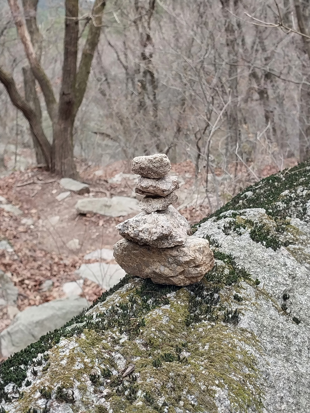 봄 북한산2 돌탑.jpg