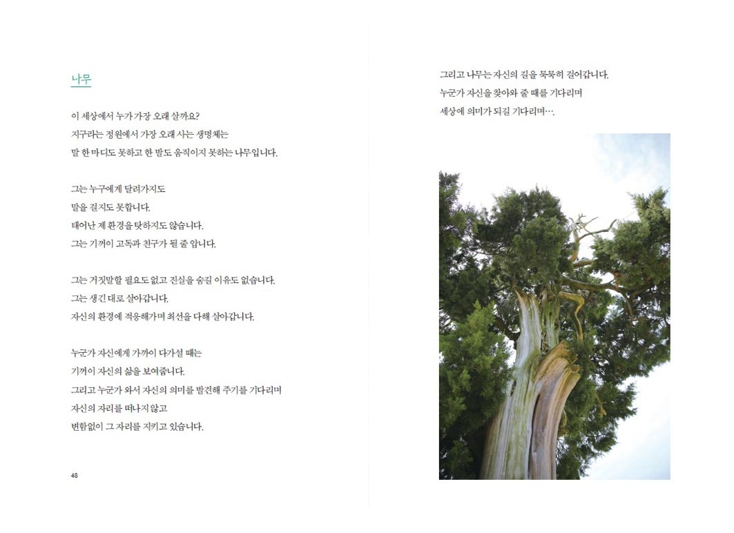 나무이야기_본문2.jpg