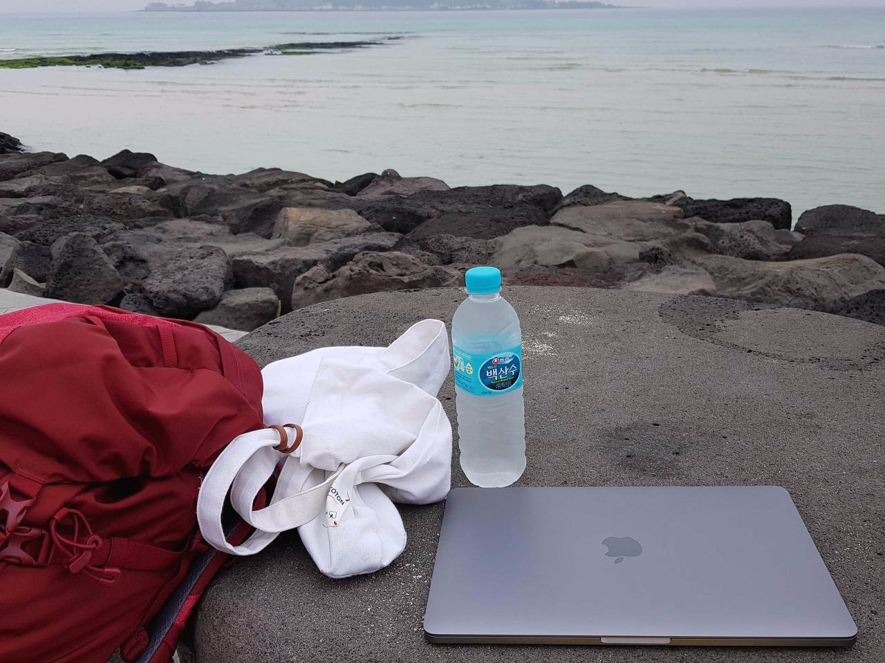 지혜님 원격근무.jpg