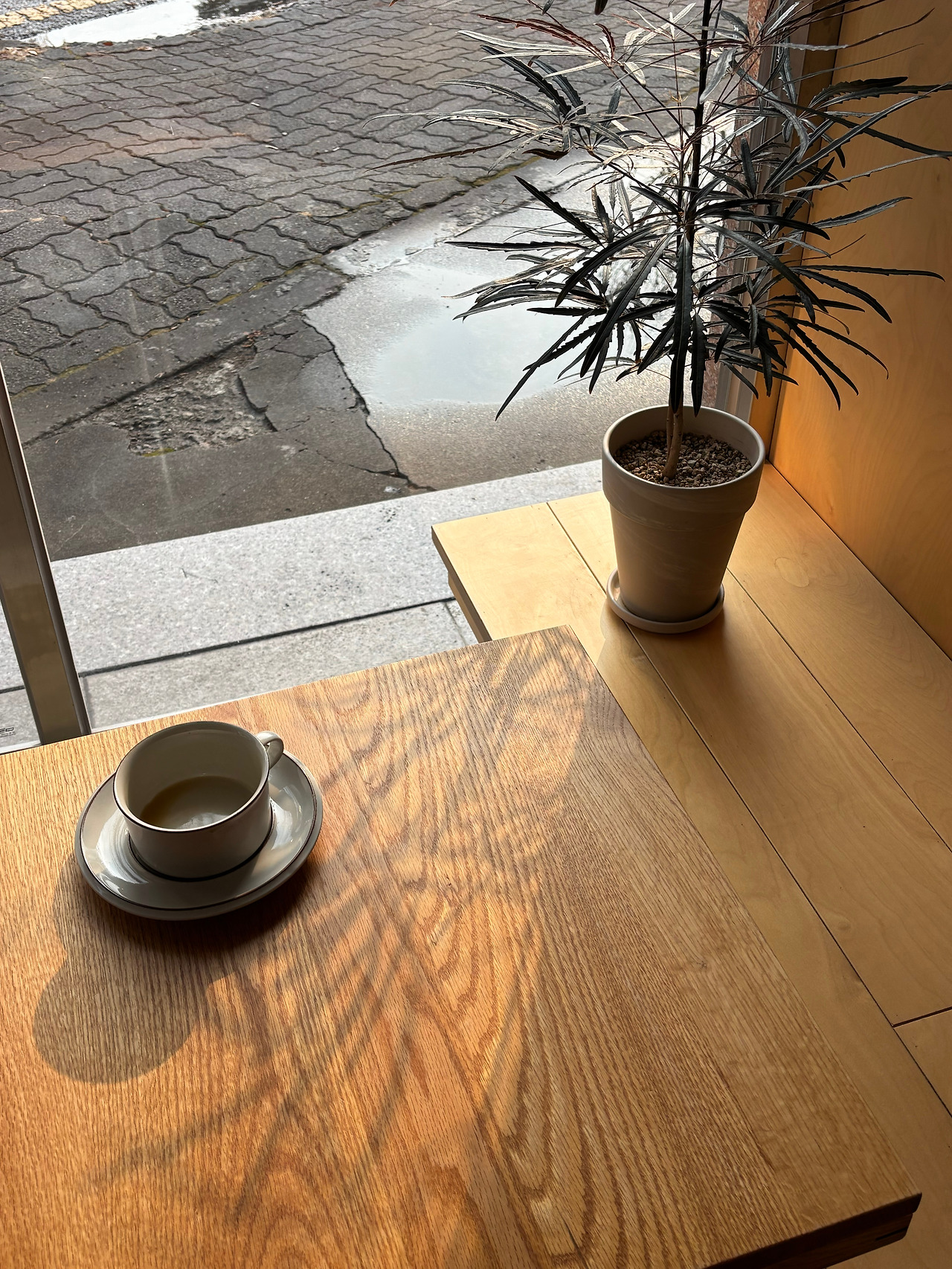 IMG_4915 복사.jpg