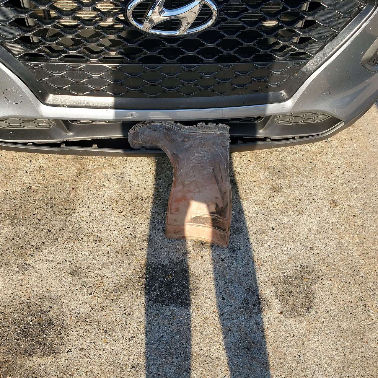 20220426_181314 (1).jpg