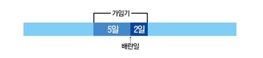 배란일그래프_04.jpg
