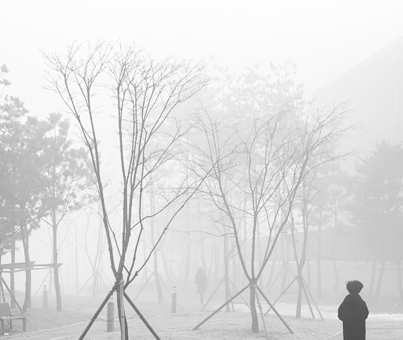 안개.jpg