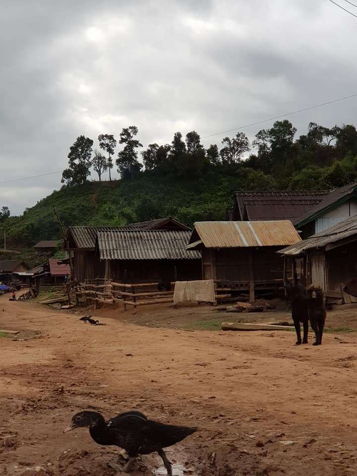 라오스_마을.jpg