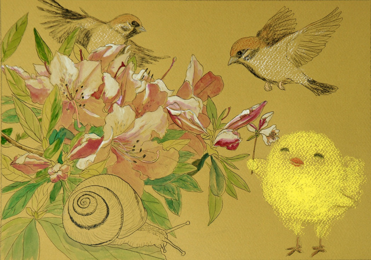 지금은 고양이 시대.jpg