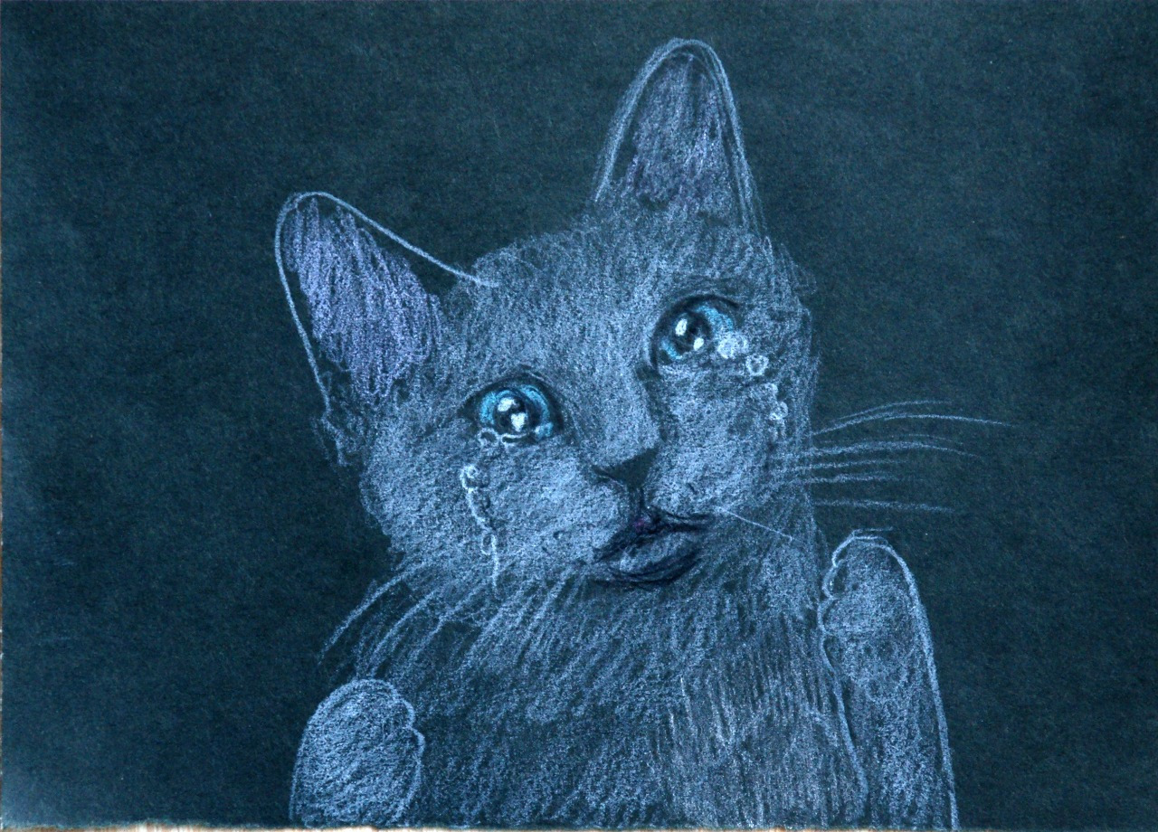 그림자를 조심해.jpg