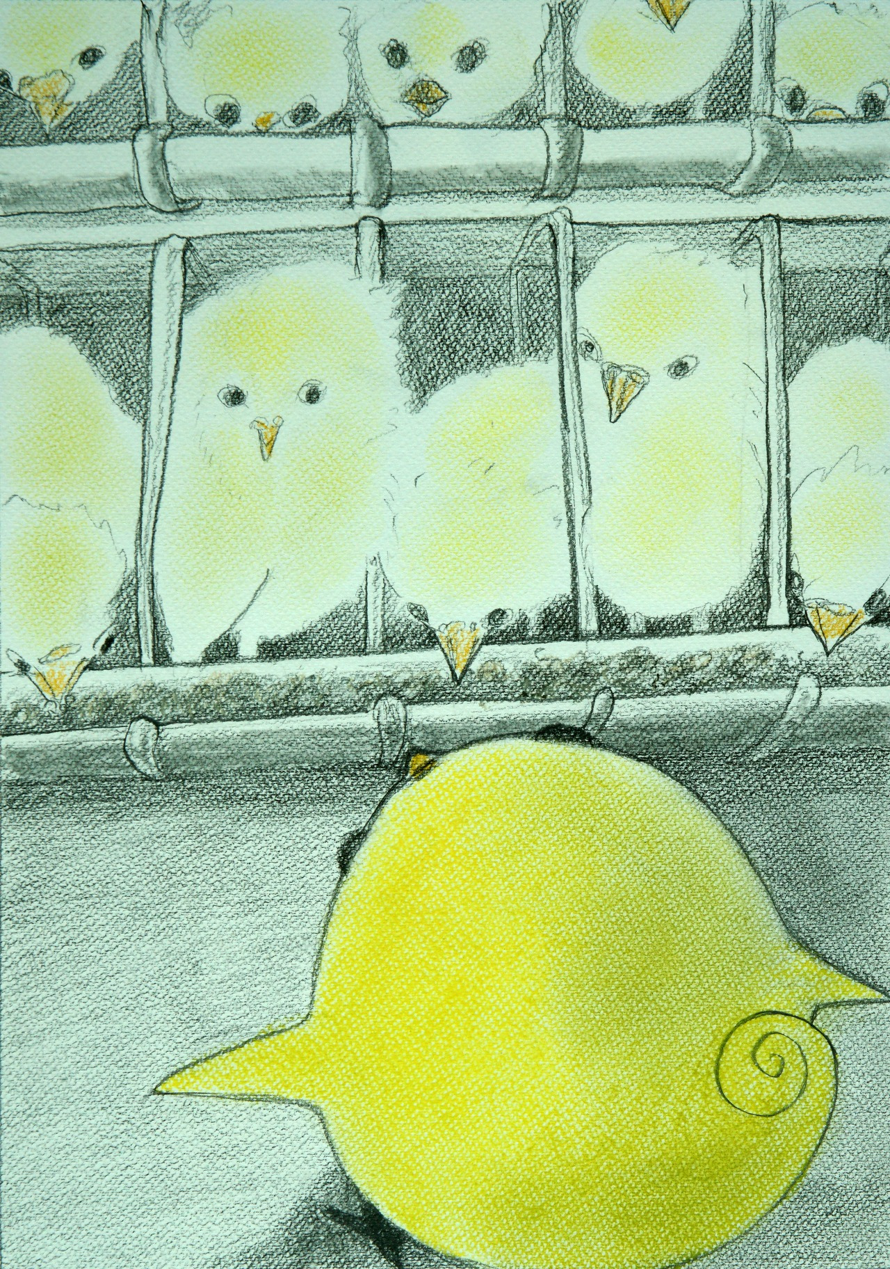 마법 도시락.jpg