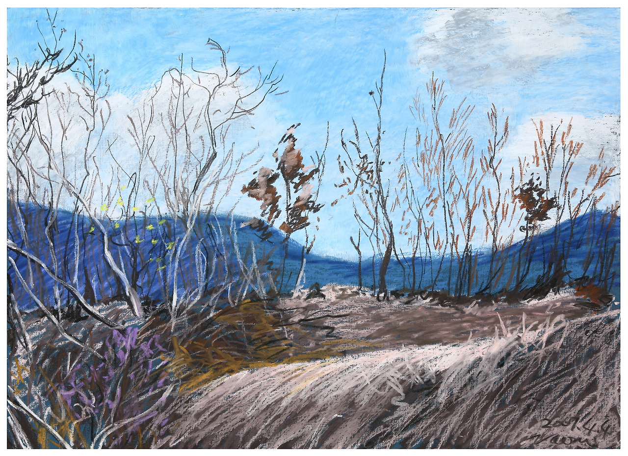 15-2  Korean landscape by Japanese-2007.04.4.jpg