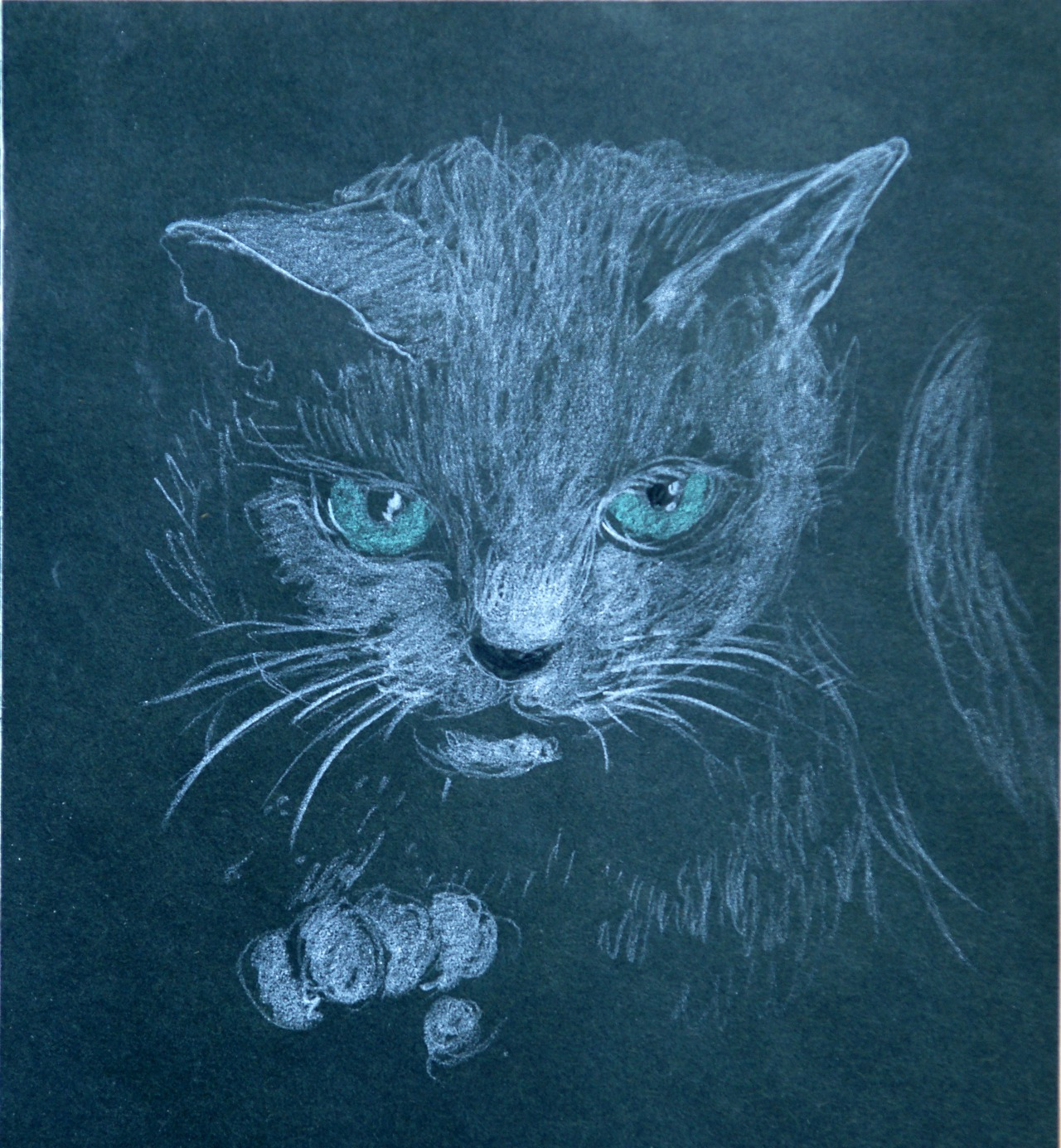 고양이가 어때서.jpg