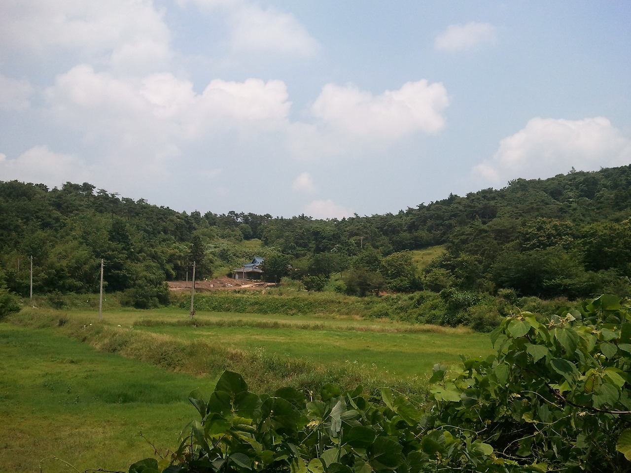 2011-06-28 13.06.08.jpg