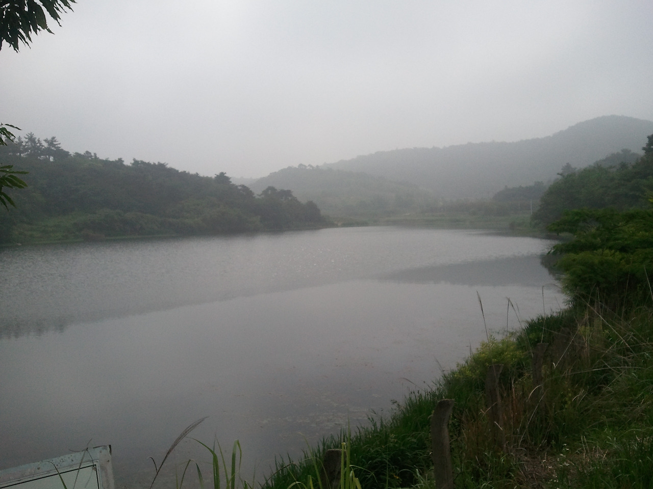 2011-06-14 08.46.10.jpg