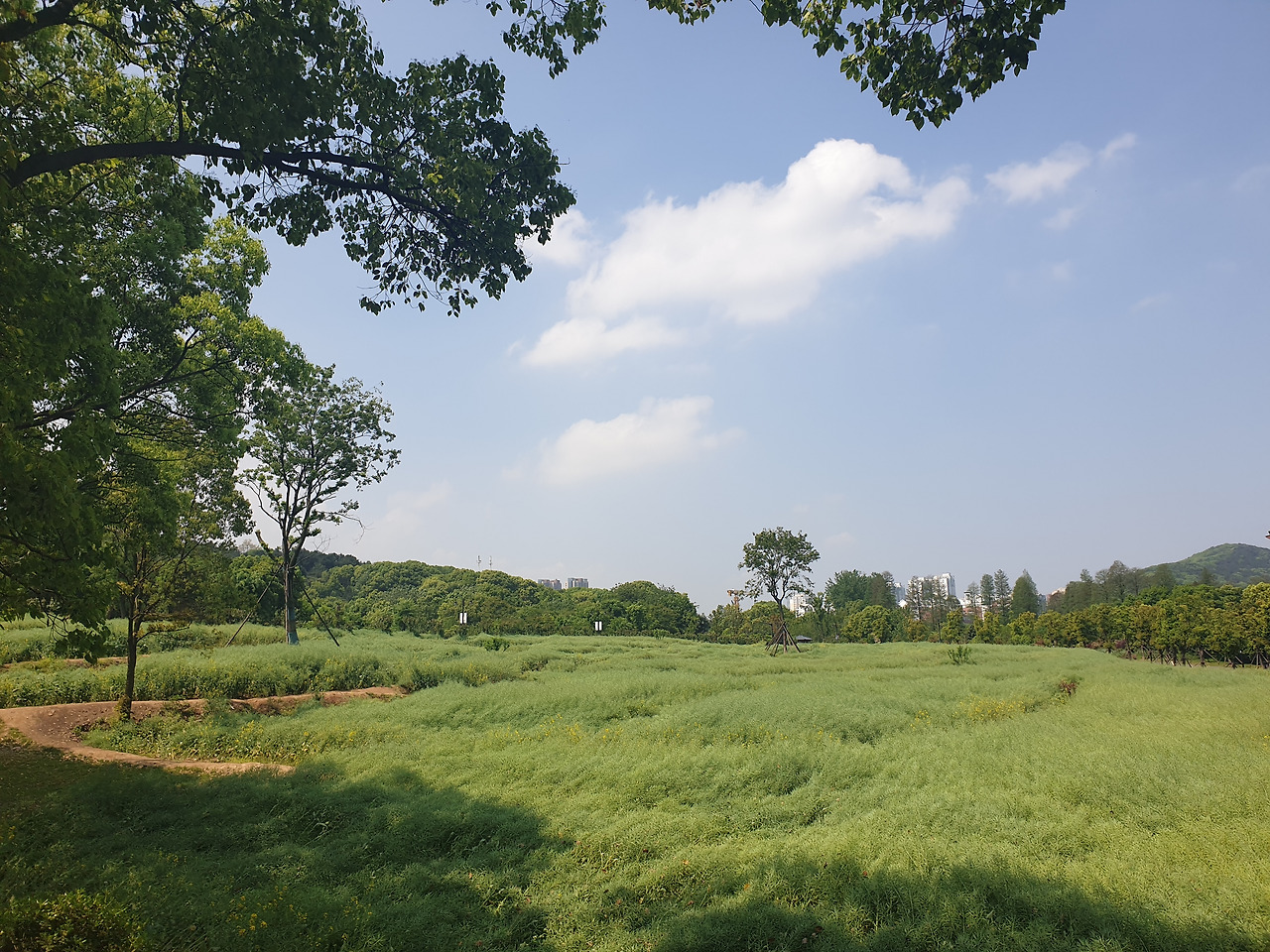 5화 첨부(1) 20190419_105245.jpg