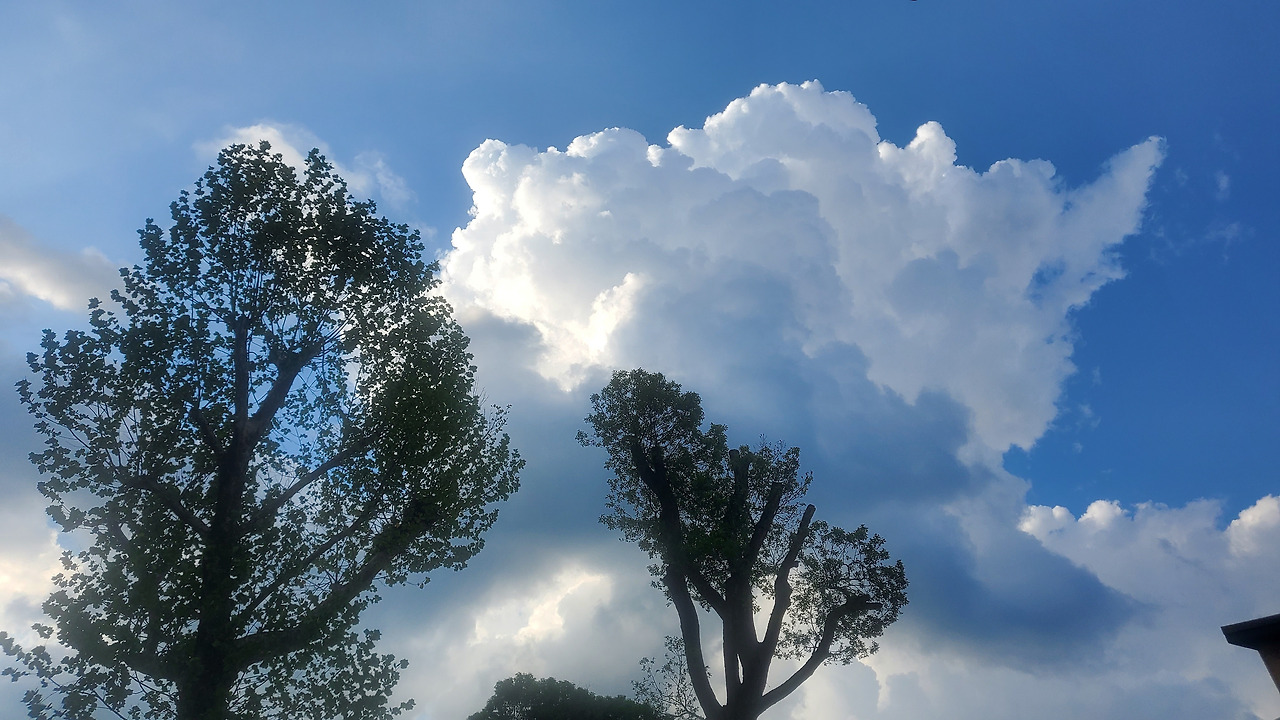 벤다이어그램 구름.jpg