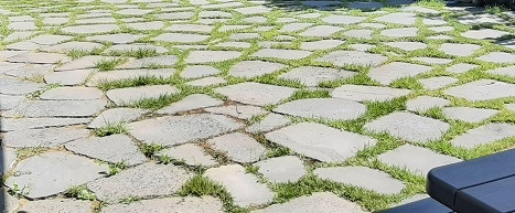 20230907_125652 (1).jpg