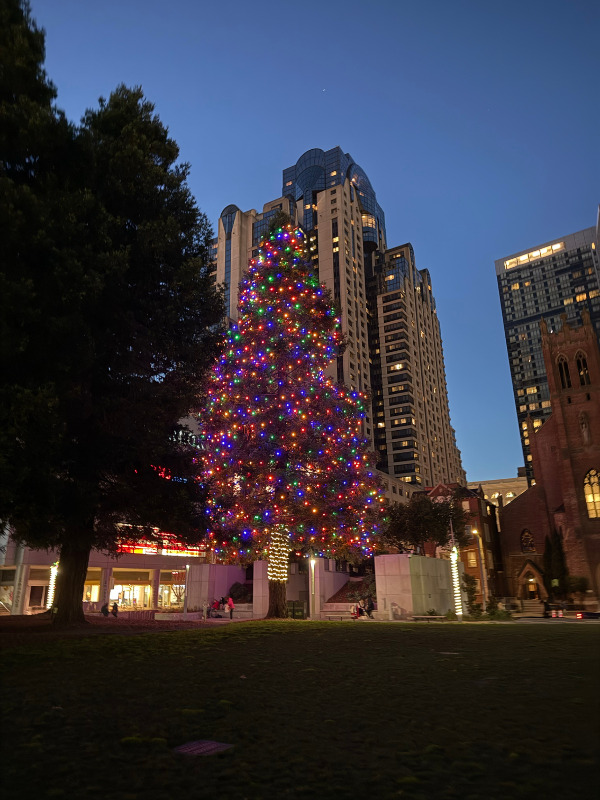 2_Yerba Buena Gardens_샌프란시스코여행_야경.jpg