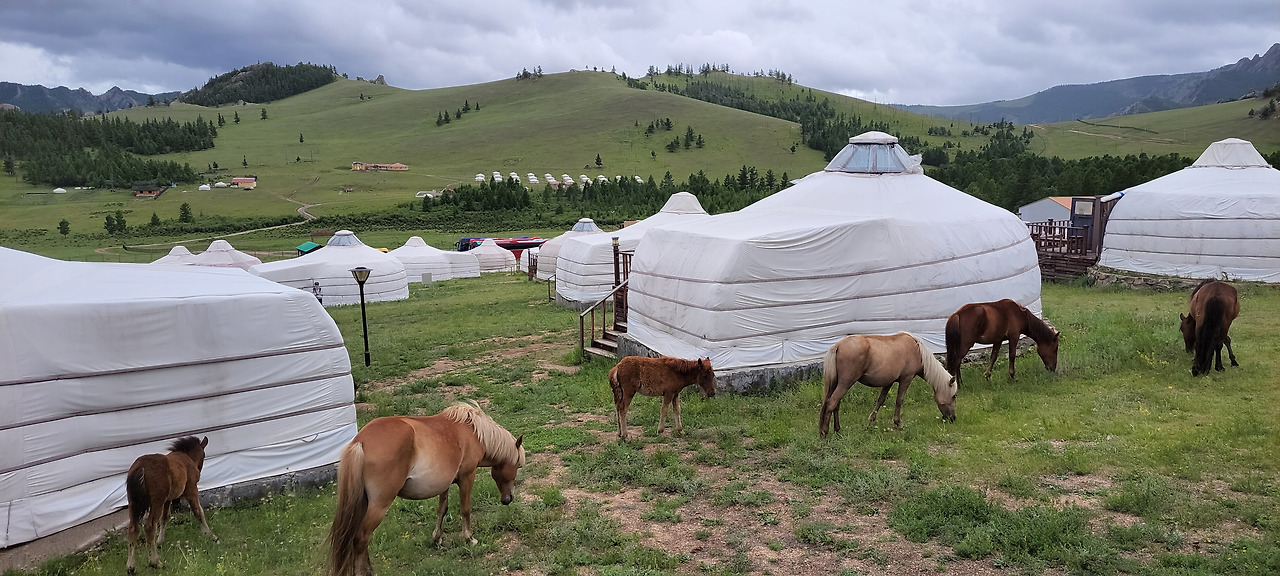 게르와말.jpg