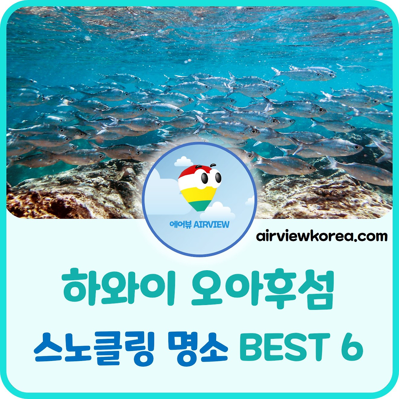 하와이-오아후섬-스노클링-명소-BEST.jpg