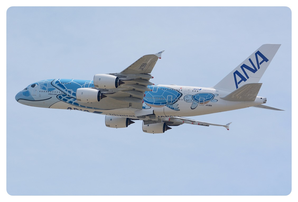 A380-800 전일본공수 All Nippon Airways.jpg