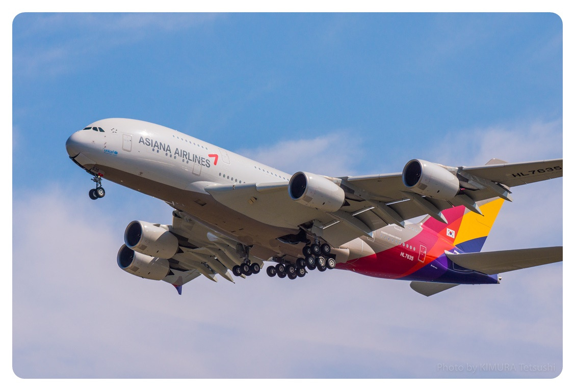 A380-800 아시아나항공 Asiana Airlines.jpg