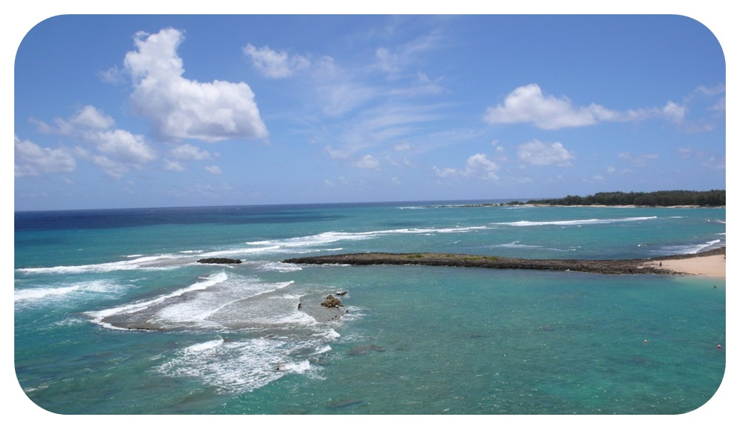하와이-오아후섬-쿠일리마-코브-Kuilima-Cove-oahu-hawaii-beach.jpg