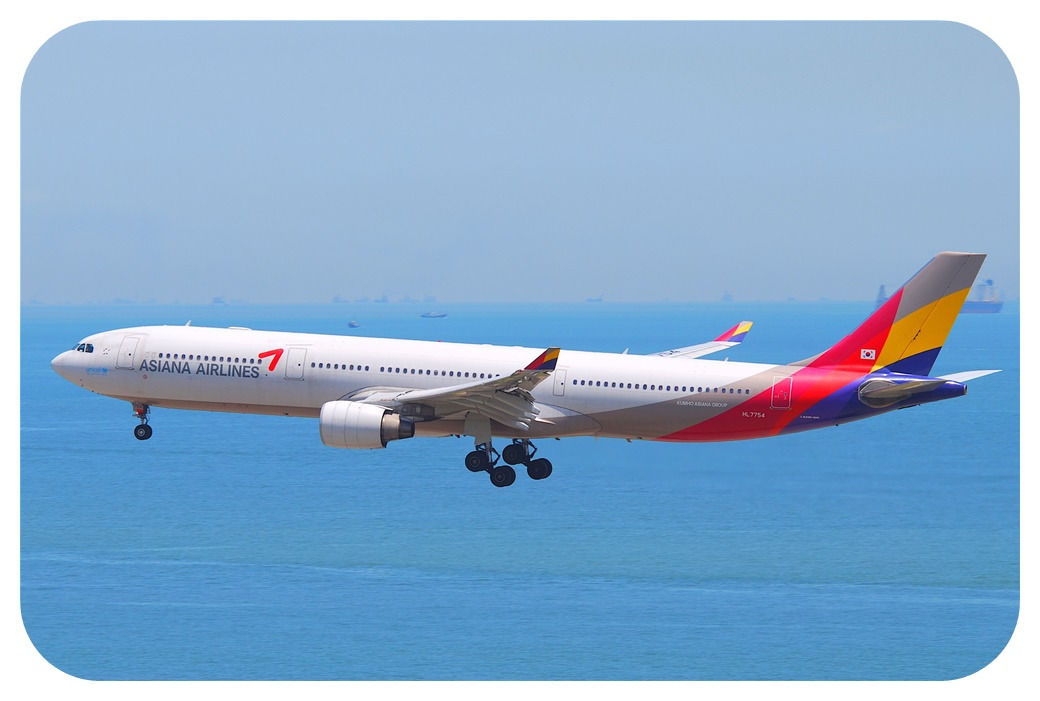 아시아나항공 Asiana Airlines Airbus A330-300.jpg