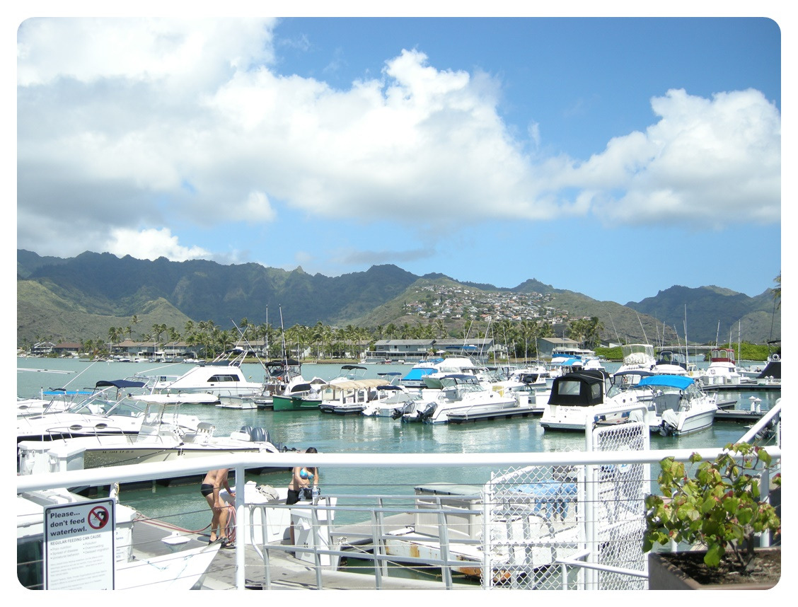 Koko_Marina_Boat_Harbor 코코 마리나 센터.jpg