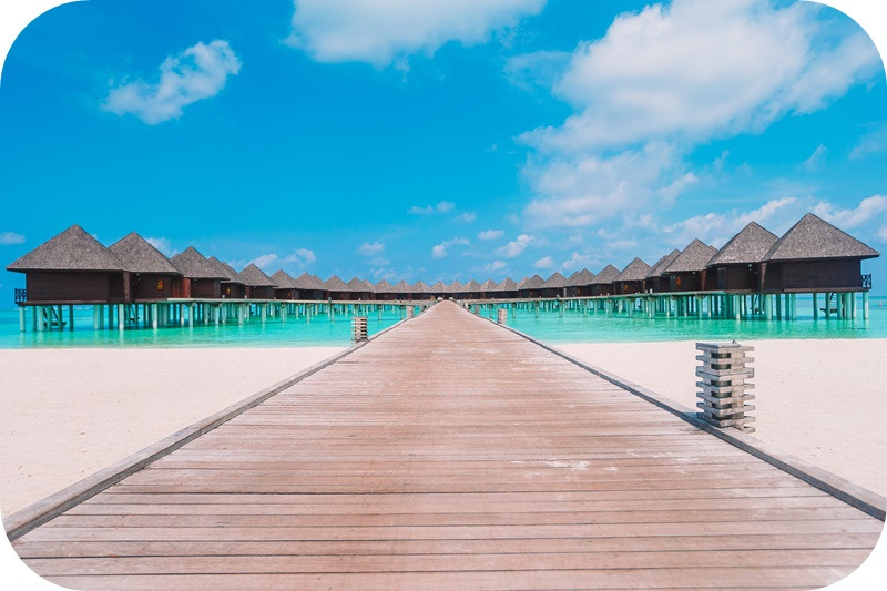 몰디브-나무-독채-리조트.jpg