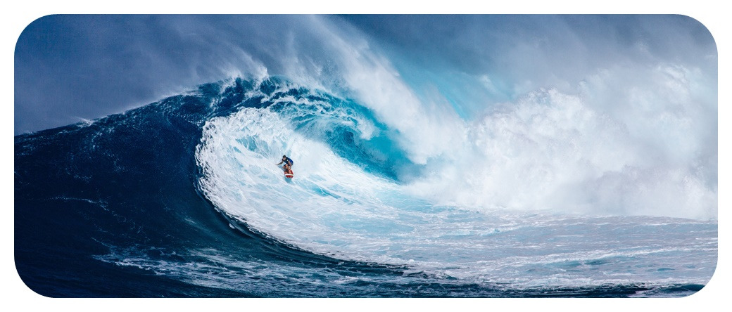 하와이 서핑 Hawaii surfing.jpg