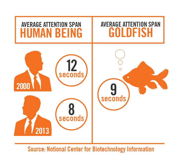 Human_v_Goldfish_2-e1430487964480.jpg