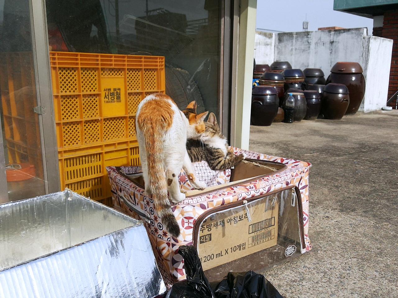 마무리는 엄마와의 코 뽀뽀.jpg