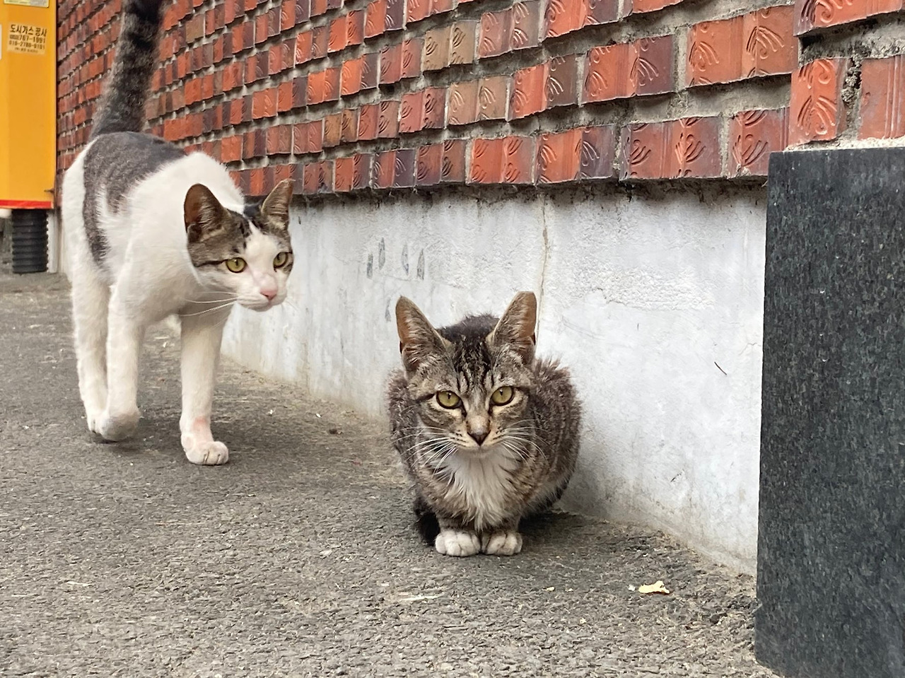 꼬3.jpg