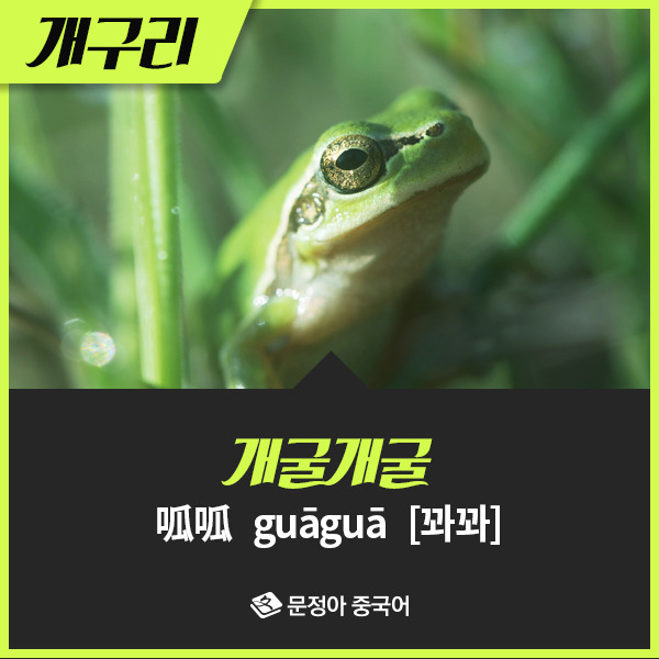09_동물울음소리.jpg