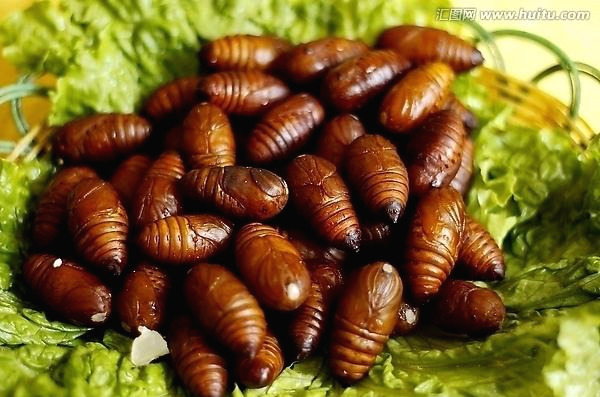 4(2)(이미지 두장 번갈아 보이게 해주세요).jpg