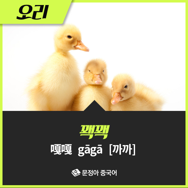 04_동물울음소리.jpg