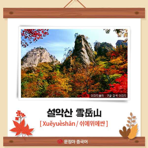 01_국내가을단풍명소.jpg