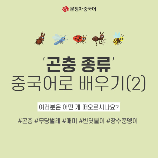 곤충-종류(2탄)-600.jpg