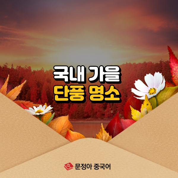 00_국내가을단풍명소600x600.jpg